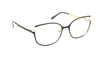 готовые очки - Glodiatr 1819 c1