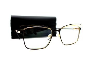 Компьютерные очки с футляром - CLAZIANO 519 с99