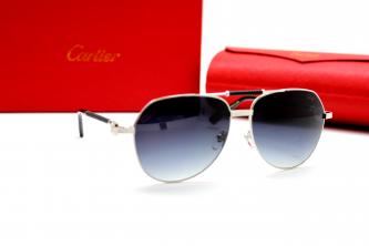 солнце CARTIER 8220012 c04